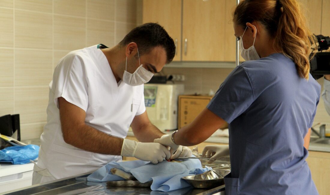 Karşıyaka Belediyesi, can dostların hastalıklardan korunmalarını sağlamak ve kontrolsüz üremeyi