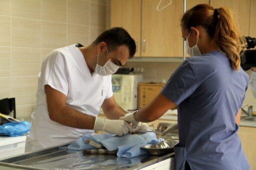 Karşıyaka Belediyesi, can dostların hastalıklardan korunmalarını sağlamak ve kontrolsüz üremeyi