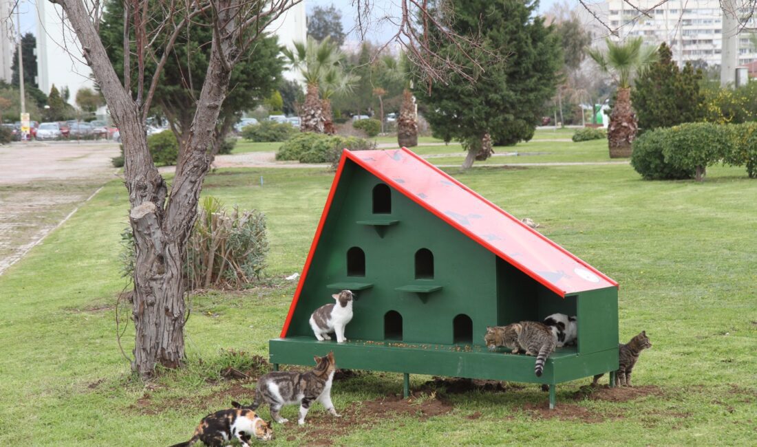 Kentteki sahipsiz hayvanların beslenme sorununa sürdürülebilir bir çözüm üretmek amacıyla