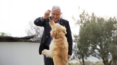 Kemalpaşa Belediyesi, sokakta yaşayan can dostlarının sahiplendirilmesini kolaylaştırmak ve onların
