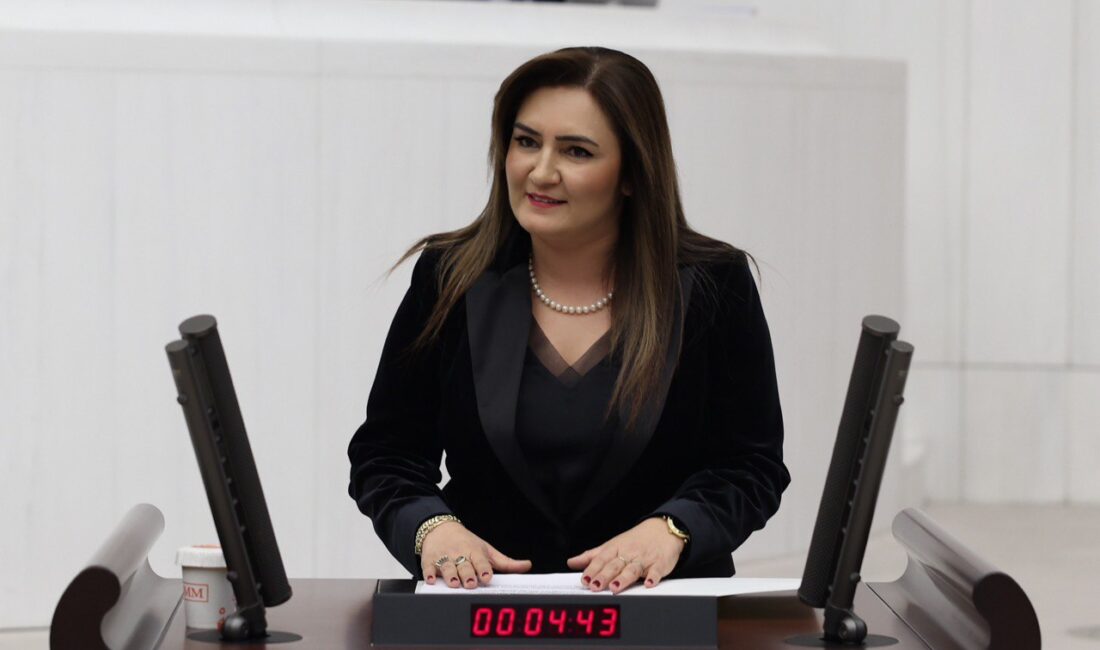 Protesto etmek amacıyla gösteri ve yürüyüş hakkını düzenleyen kitlelere yönelik