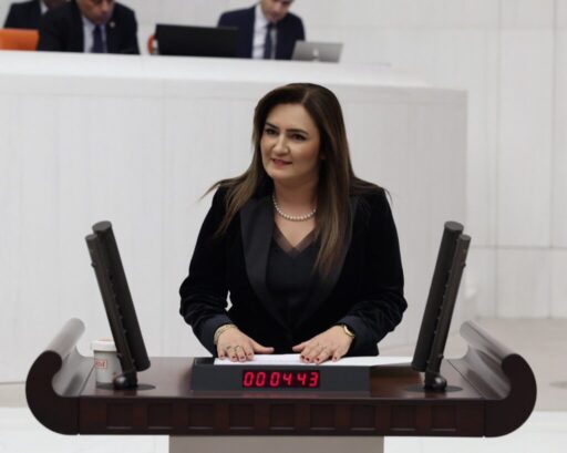 Protesto etmek amacıyla gösteri ve yürüyüş hakkını düzenleyen kitlelere yönelik