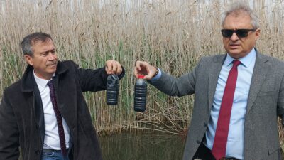 Gediz nehrinin körfez ile buluştuğu alan da yapılan incelemelerde, Körfez