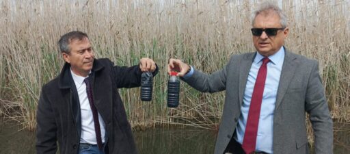 Gediz nehrinin körfez ile buluştuğu alan da yapılan incelemelerde, Körfez