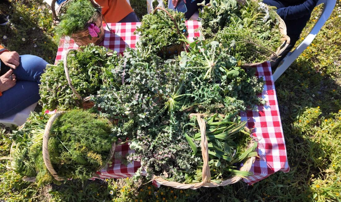 Geleneksel Mart Dokuzu Urla Ot Bayramı Başlıyor Mart Dokuzu Urla Ot Bayramı, 22-23 Mart 2025 tarihlerinde zengin