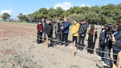 Menderes Belediyesi, Gümüldür ve Özdere sahillerinde yetişen nadir bir çiçek
