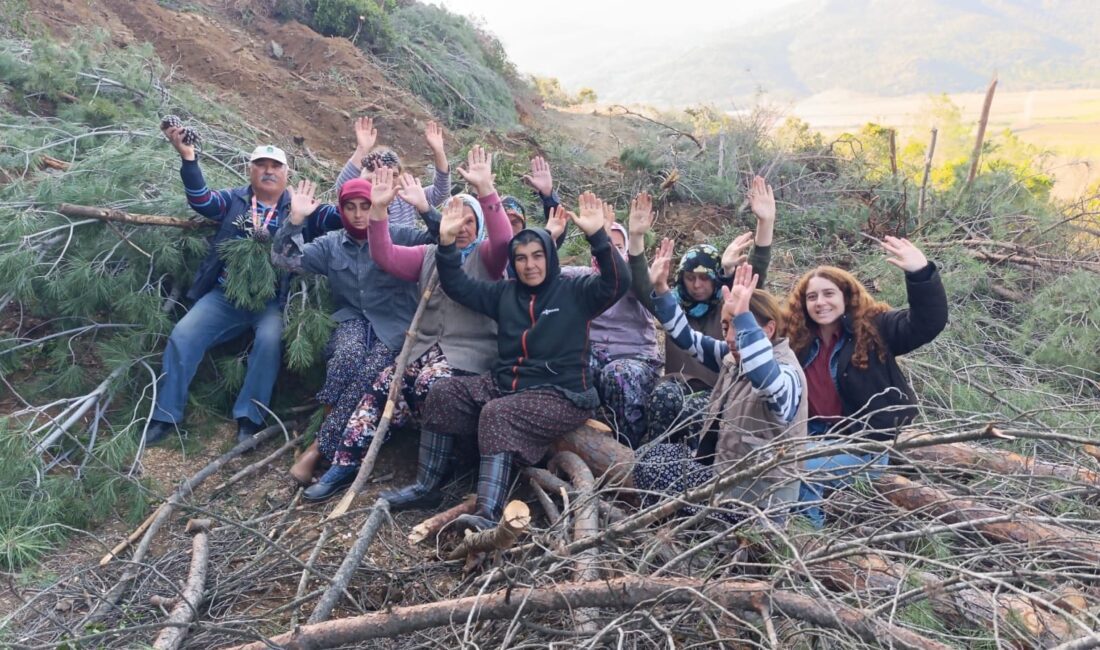 İzmir’in Tire ilçesi Çayırlı Köyü’ne yol yapımı için ağaç kesimine