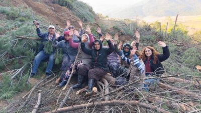 İzmir’in Tire ilçesi Çayırlı Köyü’ne yol yapımı için ağaç kesimine
