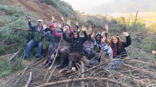 İzmir’in Tire ilçesi Çayırlı Köyü’ne yol yapımı için ağaç kesimine