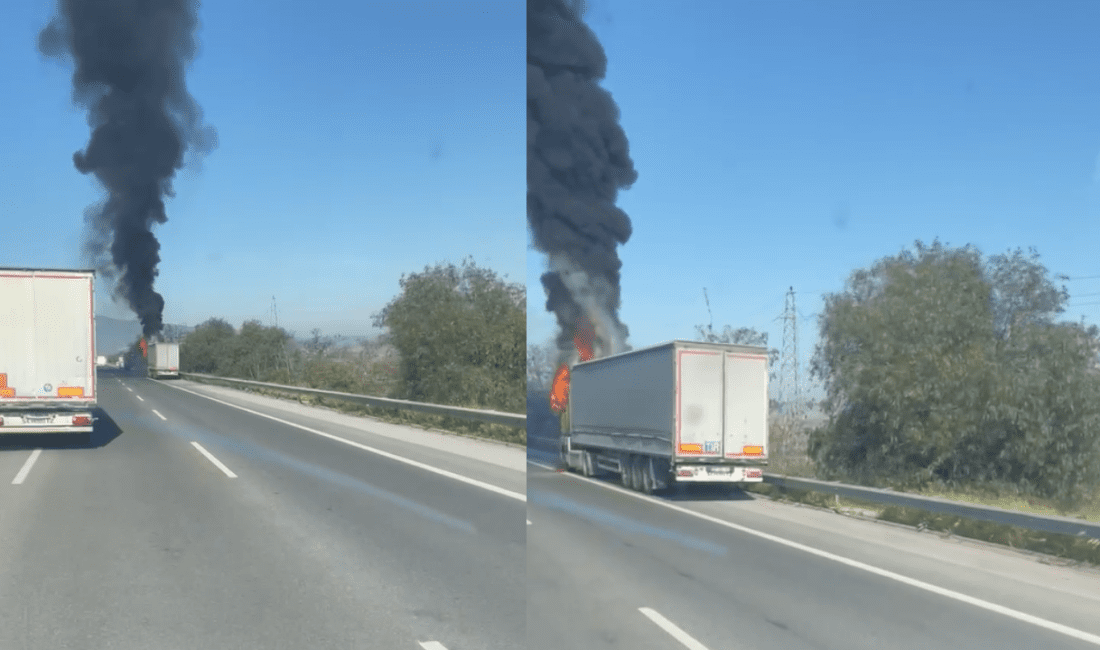 Aydın-İzmir yolunda seyir halinde olan bir TIR’da bilinmeyen  bir nedenden