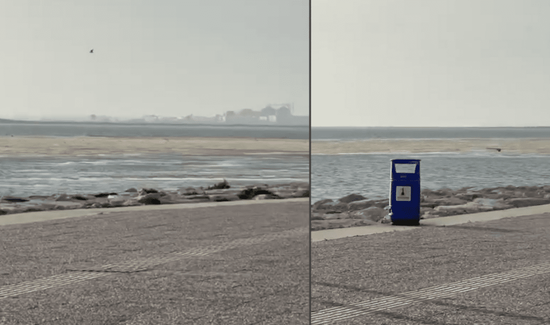 İzmir Karşıyaka ilçesi Bostanlı Sahili’nde bulunan vatandaşlar, denizin müsilajla kaplandığını