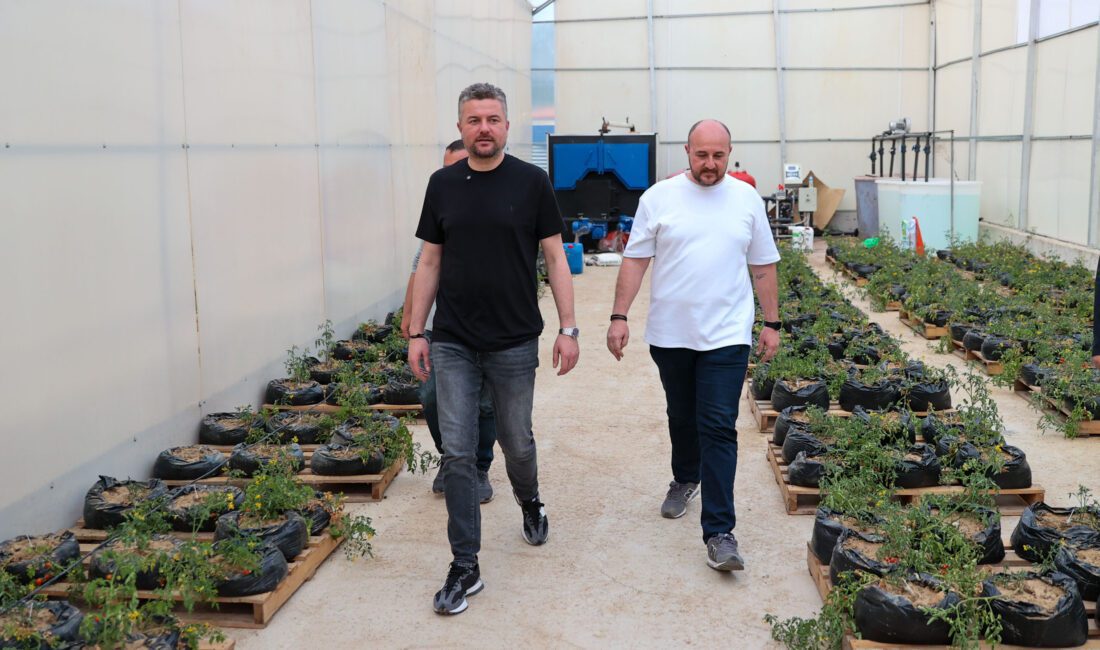 İzmir’in merkezinde en fazla tarımsal araziye sahip ilçe olan Buca,