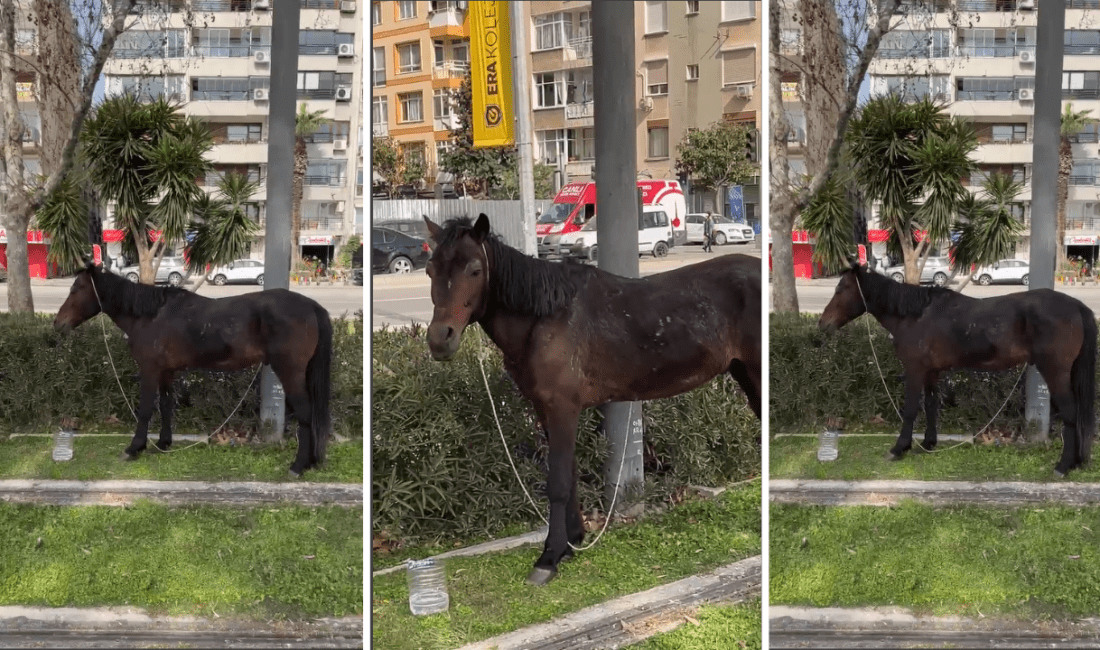 İzmir’in Karşıyaka ilçesinde, Alabey Durağı güzergahındaki ray hattında terkedilmiş bir