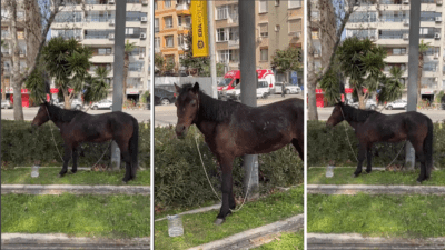 İzmir’in Karşıyaka ilçesinde, Alabey Durağı güzergahındaki ray hattında terkedilmiş bir