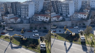 İzmir’in Konak ilçesinde bulunan Üçyol Meydanı’ndaki ağaçların önce budandığı, ardından