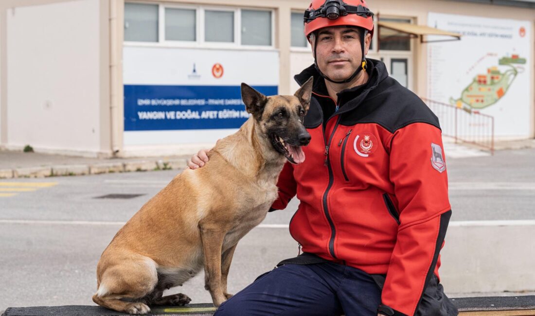 İki kardeş afetlerde’ki kahramanlık ve mucizeleri İzmir Büyükşehir Belediyesi İtfaiye Dairesi Başkanlığı’nın arama kurtarma köpekleri, afetlerde