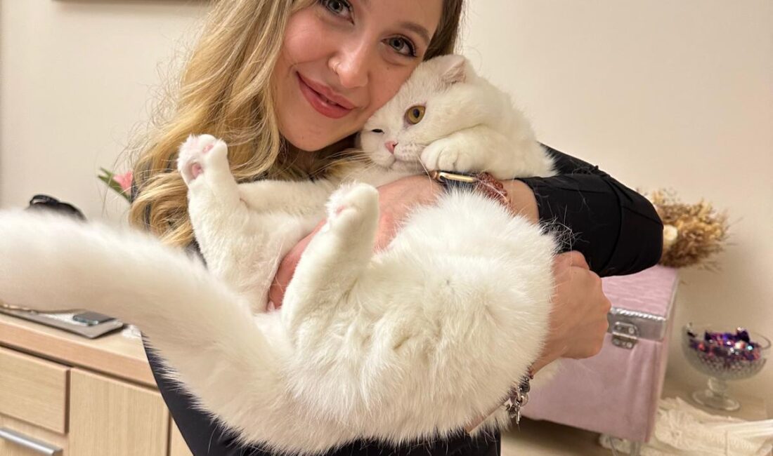 İzmir Büyükşehir Belediyesi çatısı altında görev yapan veteriner hekimler, 26