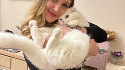 İzmir Büyükşehir Belediyesi çatısı altında görev yapan veteriner hekimler, 26