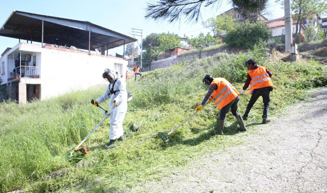Havaların ısınmasıyla birlikte Çiğli Belediyesi, ilçe genelinde kosa çalışmalarına hız