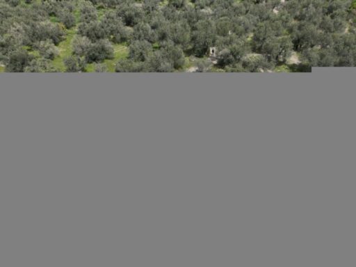 Antandros Antik Kenti’nin bölgenin turizm potansiyelini dört mevsim boyunca ziyaret