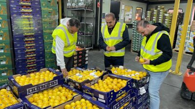 Türk yaş meyve sebze ve işlenmiş meyve-sebze ihracatçıları 13 firmayla