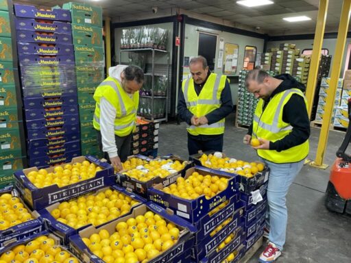 Türk yaş meyve sebze ve işlenmiş meyve-sebze ihracatçıları 13 firmayla
