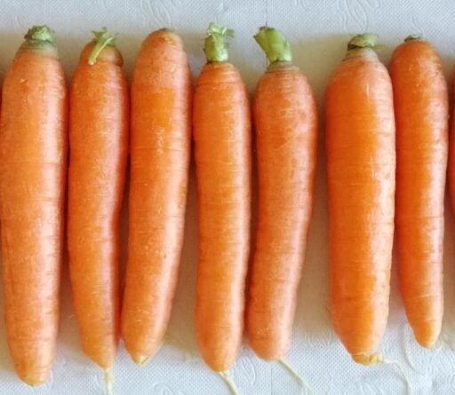 Hatay’ın Kırıkhan ilçesinde yetişen ve bölgenin tarım ekonomisinde önemli bir