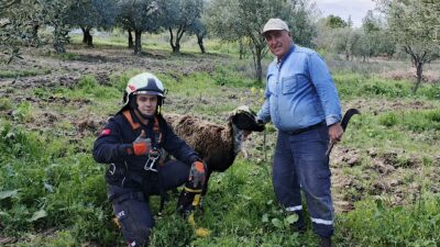Manisa'nın Akhisar İlçesi’ne bağlı Hamidiye Mahallesi’nde, kuyuya düşen bir koyun,