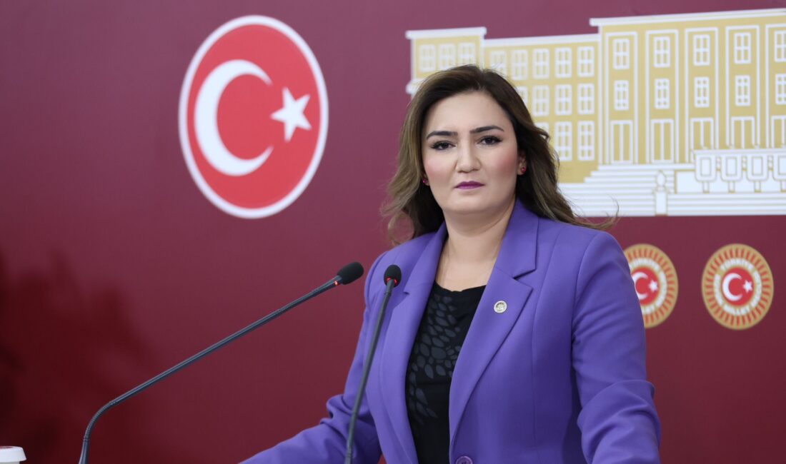 EĞİTİM MÜFREDATI İKTİDARIN RANT POLİTİKALARININ PROPAGANDA ARACI OLAMAZ CHP İzmir Milletvekili Sevda Erdan Kılıç, 10. Sınıf Coğrafya kitaplarında