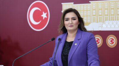 CHP İzmir Milletvekili Sevda Erdan Kılıç, 10. Sınıf Coğrafya kitaplarında