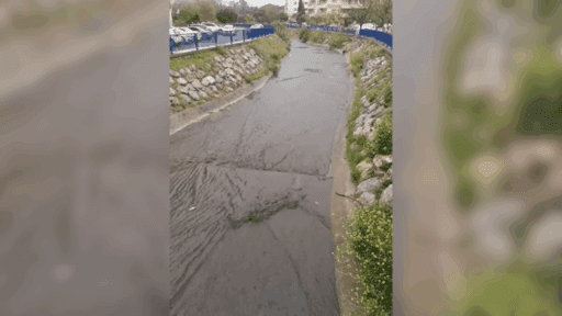İzmir’in Bayraklı ilçesi Yamanlar Mahallesi’nde, etkili yağışların ardından dereden siyah