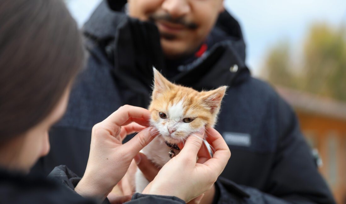 İlçede yaşayan can dostlarının tüm ihtiyaçlarını karşılayabilmek için aralıksız çalışan