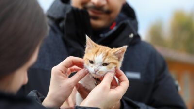 İlçede yaşayan can dostlarının tüm ihtiyaçlarını karşılayabilmek için aralıksız çalışan