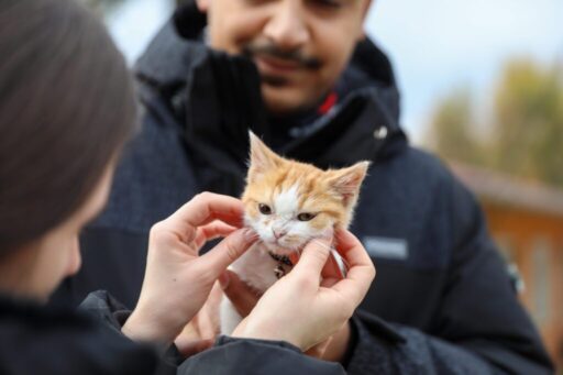 İlçede yaşayan can dostlarının tüm ihtiyaçlarını karşılayabilmek için aralıksız çalışan