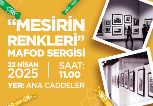 Dolu Dolu Festival Başlıyor