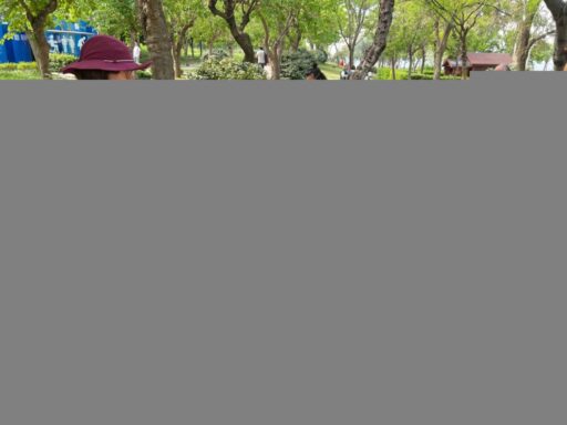 İzmir Büyükşehir Belediyesi, İzmirli çocuklar için İnciraltı Kent Ormanı’nda “Doğa