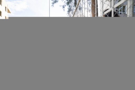 İzmir Büyükşehir Belediye Başkanı Dr. Cemil Tugay, Güzel İzmir Hareketi