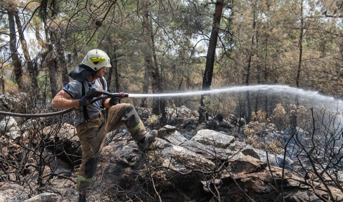 İzmir Büyükşehir Belediyesi sıcaklıklarla birlikte artan orman yangınlarına karşı yaz