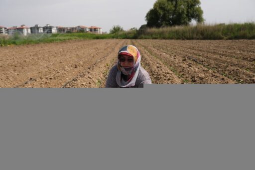 Küçükköy Üretim Mutfağı’nda üretime katılan kadınlar, mutfakta kullanacakları ürünlerin fidelerini