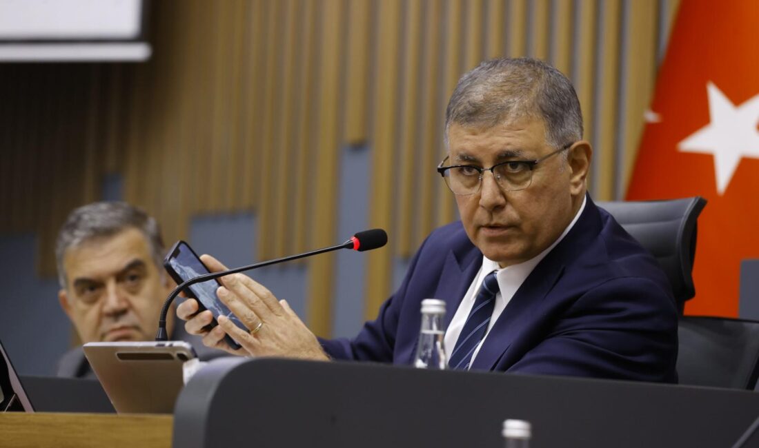 Dr. Cemil Tugay, Cumhurbaşkanı Recep Tayyip Erdoğan'ın yerel yönetimlerin yetkileri