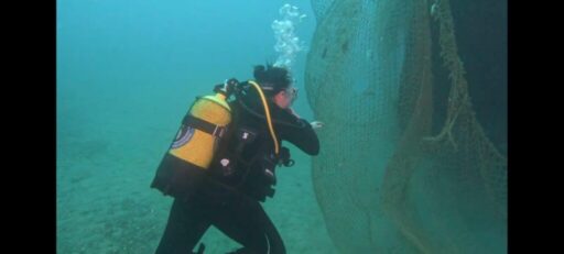 İzmir İl Tarım ve Orman Müdürlüğü koordinasyonunda Sualtı Arama Kurtarma