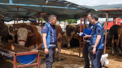 Kurban satış yerlerinde denetimlerini yoğunlaştıran Gaziemir Belediyesi zabıta ekipleri, hayvanların