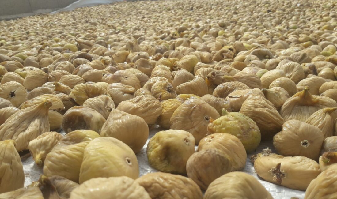 ABD, İspanya, Avusturya ve Çin’in de aralarında bulunduğu sekiz ülkenin