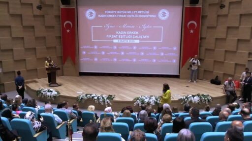 Türkiye Büyük Millet Meclisi Kadın Erkek Fırsat Eşitliği Komisyonu (KEFEK),