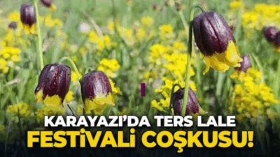 Kaymakam Onur Titiz’in öncülüğünde düzenlenen 1. Ters lale Festivali, Karayazı’nın