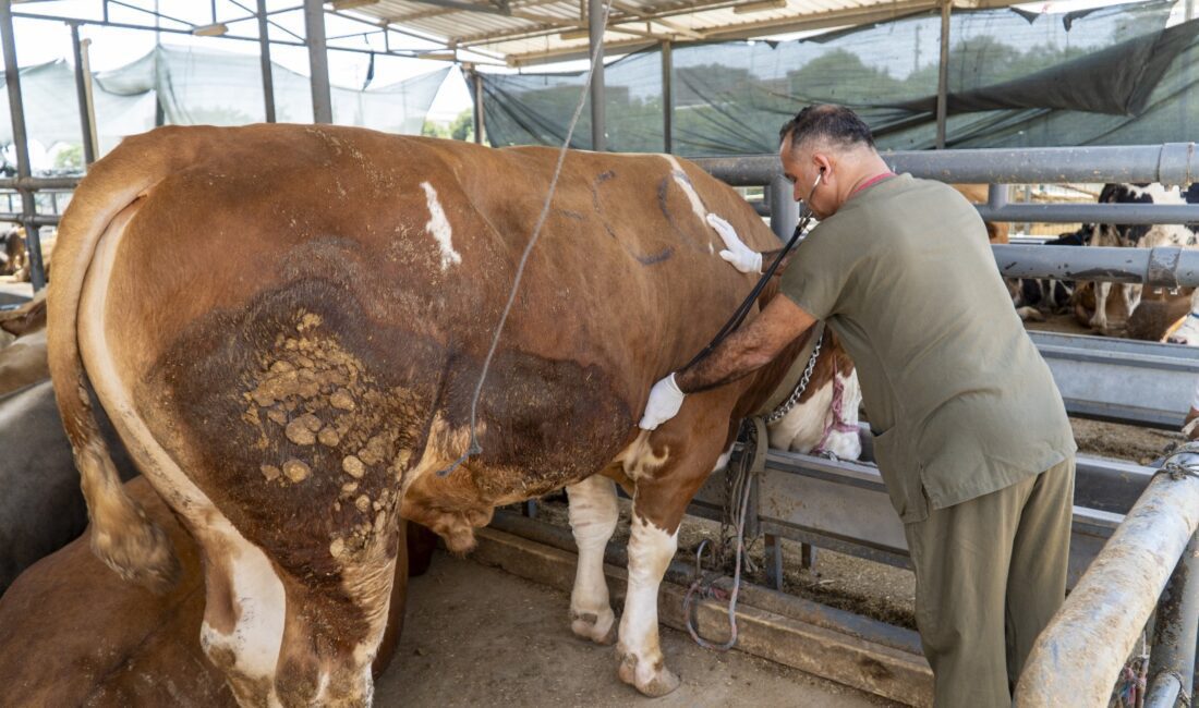Karşıyaka Belediyesi, 6 Haziran’da başlayacak Kurban Bayramı’nın huzur ve güven