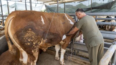 Karşıyaka Belediyesi, 6 Haziran’da başlayacak Kurban Bayramı’nın huzur ve güven