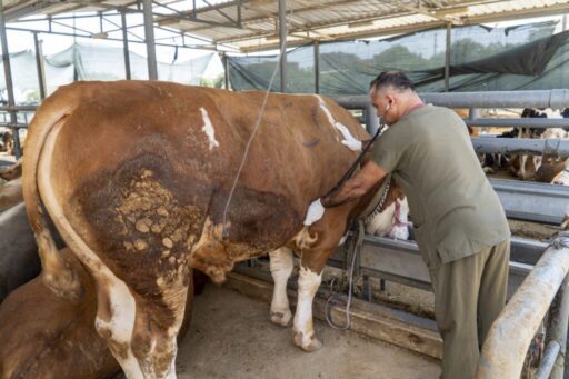 Karşıyaka Belediyesi, 6 Haziran’da başlayacak Kurban Bayramı’nın huzur ve güven