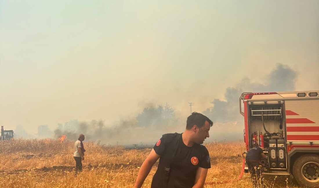 Bugün öğlen saatlerinde Aliağa Bozköy Mahallesi yakınlarındaki ormanlık alanda çıkan