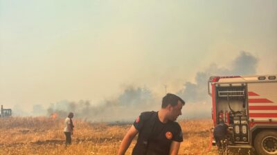 Bugün öğlen saatlerinde Aliağa Bozköy Mahallesi yakınlarındaki ormanlık alanda çıkan
